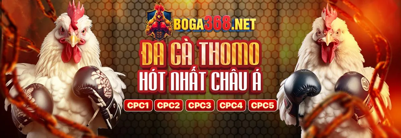 Đá Gà Trực Tuyến 3in1bet Nhà Cái 2026