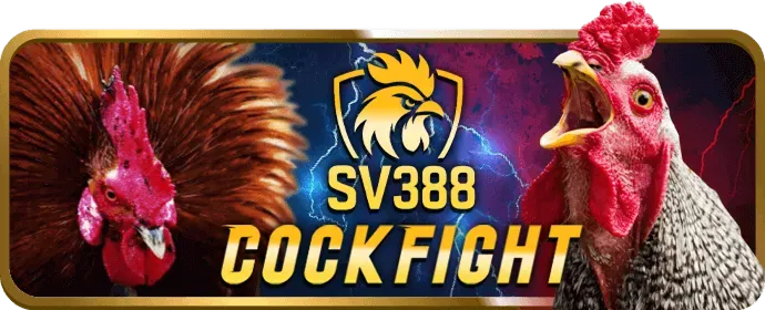 Đa dạng môn thể thao tại 3in1bet nhà cái