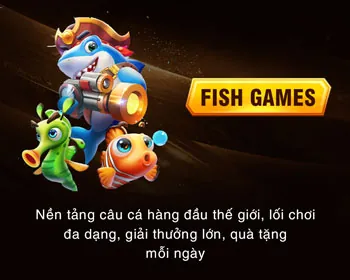 Giao diện người dùng và Trải nghiệm
