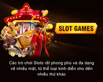 Hình ảnh minh họa quy tắc chung và công bằng của 3in1bet nhà cái